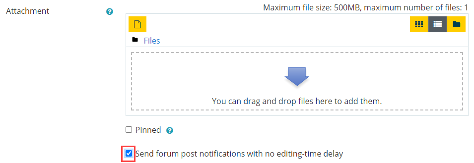 No editing-time delay checkbox